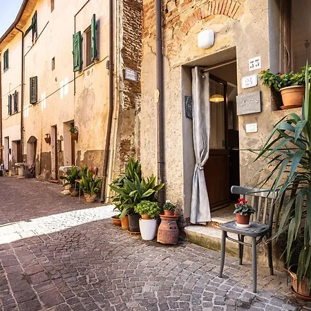 Angolo Della Cei * Terricciola