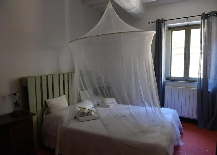 Angolo Della Cei * Terricciola