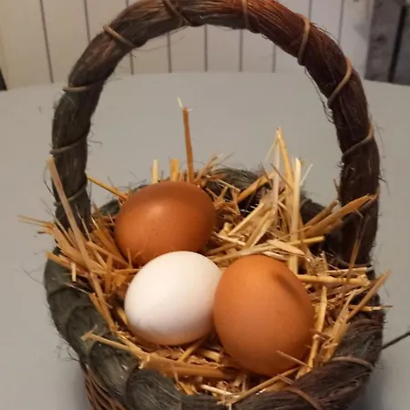 公寓 Angolo Della Cei Terricciola