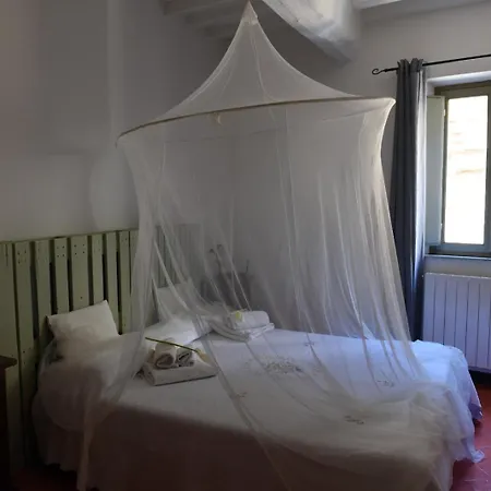 Angolo Della Cei * Terricciola